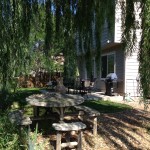 weeping willow exterior